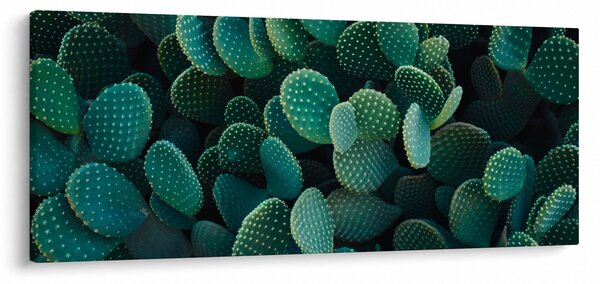 Slika - Opuntia (120x50 cm)