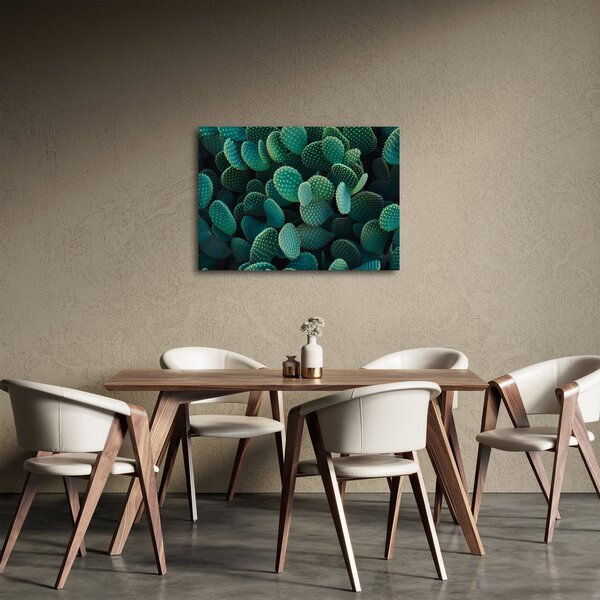 Slika - Opuntia (70x50 cm)