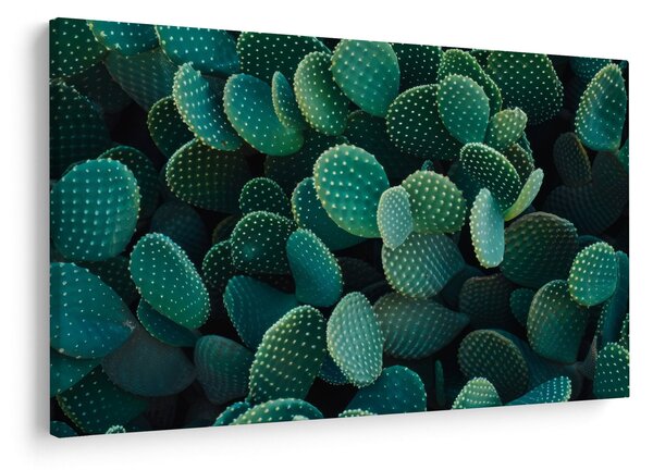 Slika - Opuntia (90x60 cm)