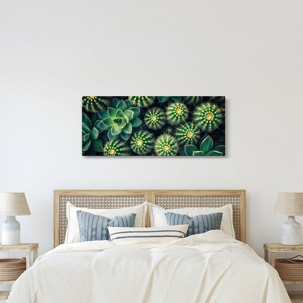Slika - Kaktusi (120x50 cm)