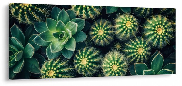 Slika - Kaktusi (120x50 cm)