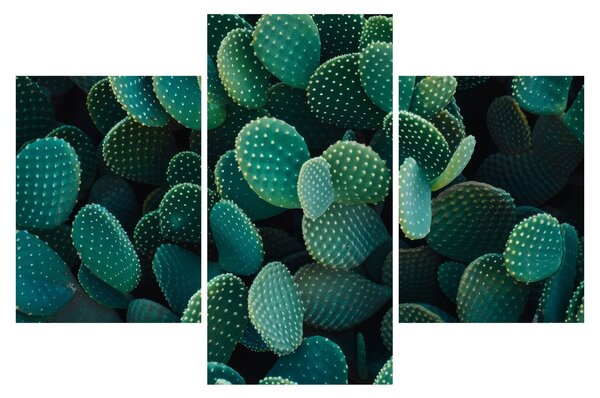 Slika - Opuntia (90x60 cm)