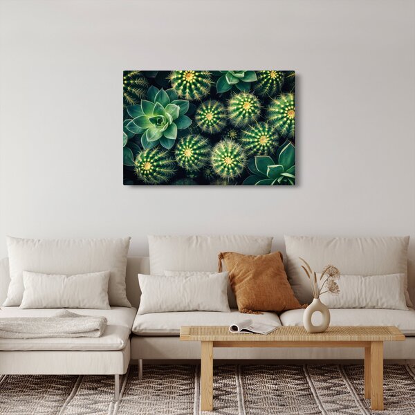 Slika - Kaktusi (90x60 cm)