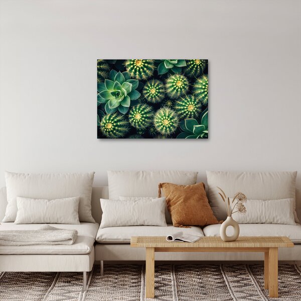 Slika - Kaktusi (70x50 cm)
