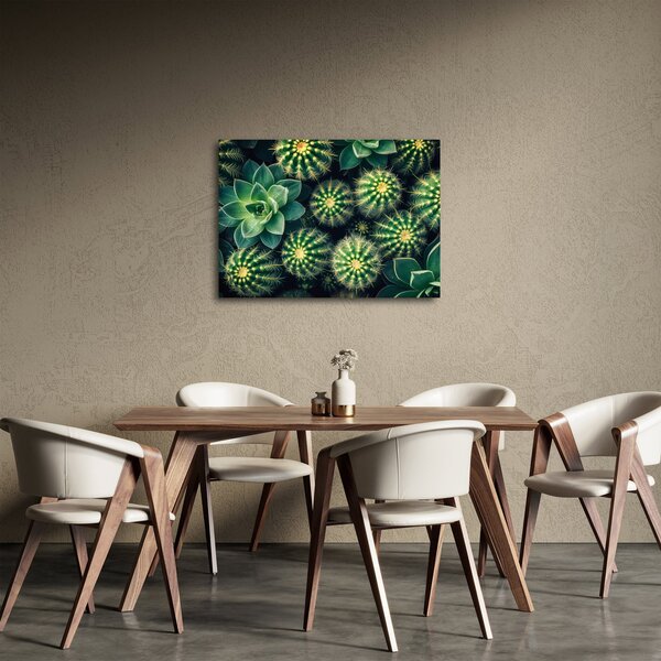 Slika - Kaktusi (70x50 cm)
