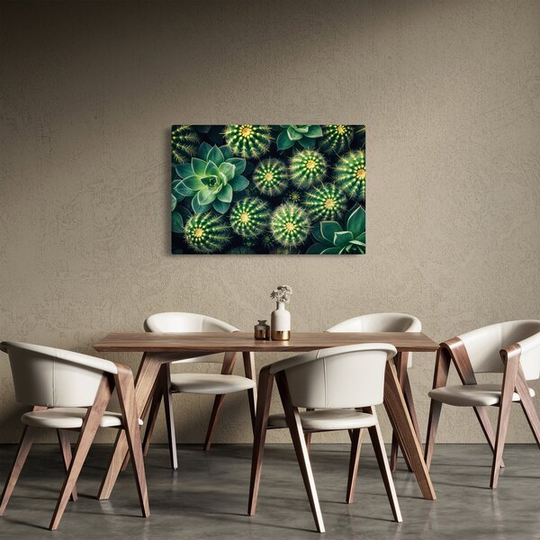 Slika - Kaktusi (90x60 cm)