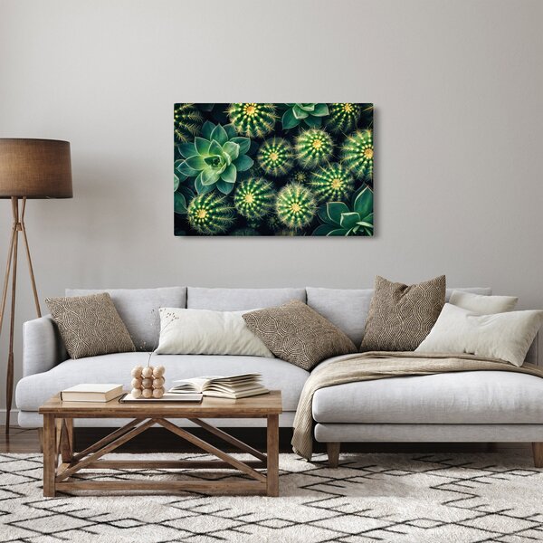 Slika - Kaktusi (90x60 cm)