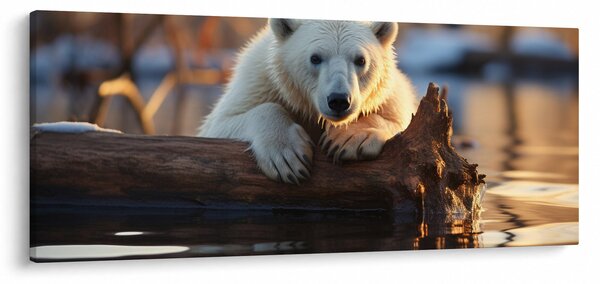 Slika - Polarni medvjed (120x50 cm)