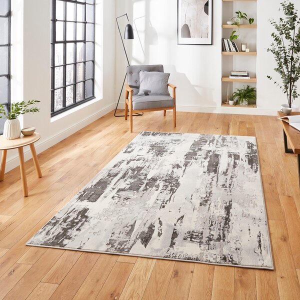 Sivo-bež tepih 220x160 cm Apollo - Think Rugs