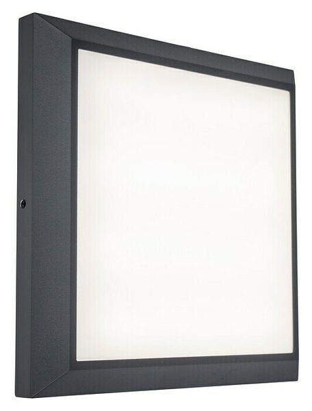 Lutec Vanjska zidna LED svjetiljka Helena (20 W, 36 x 220 x 220 mm, Tamnosive boje, IP54)