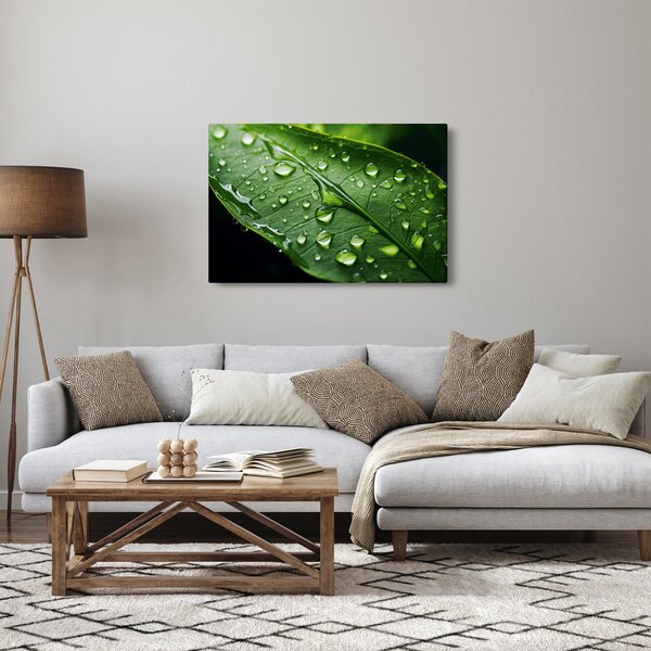 Slika - List poslije kiše (90x60 cm)