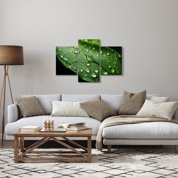 Slika - List poslije kiše (90x60 cm)