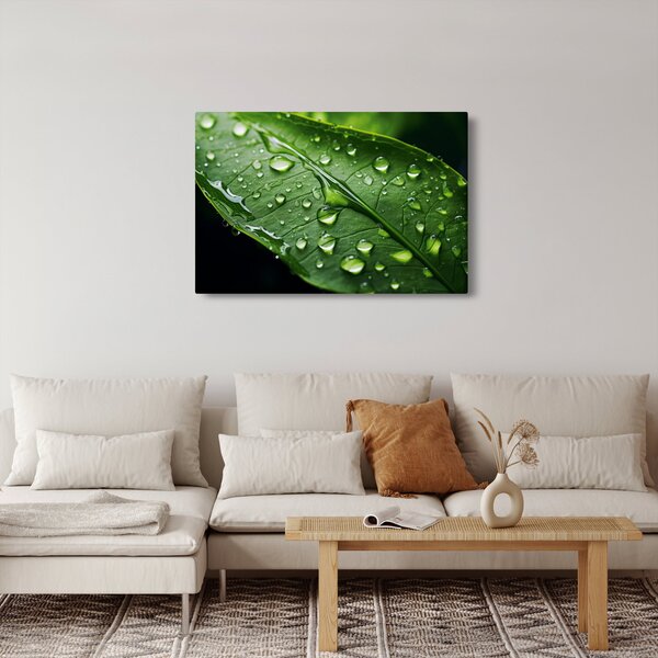 Slika - List poslije kiše (90x60 cm)