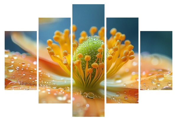Slika - Detalj cvijeta (150x105 cm)
