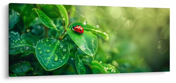 Slika - Bubamara (120x50 cm)
