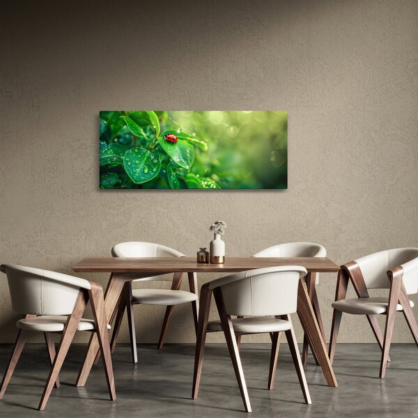 Slika - Bubamara (120x50 cm)