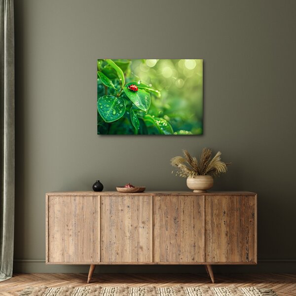 Slika - Bubamara (70x50 cm)