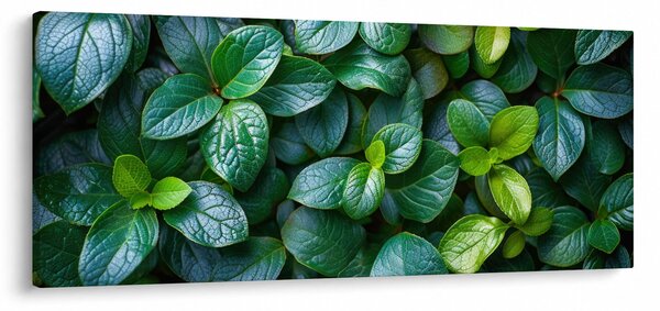 Slika - Zelene biljke (120x50 cm)