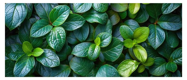 Slika - Zelene biljke (120x50 cm)