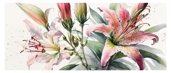 Slika - Ljiljani, ilustracije (120x50 cm)