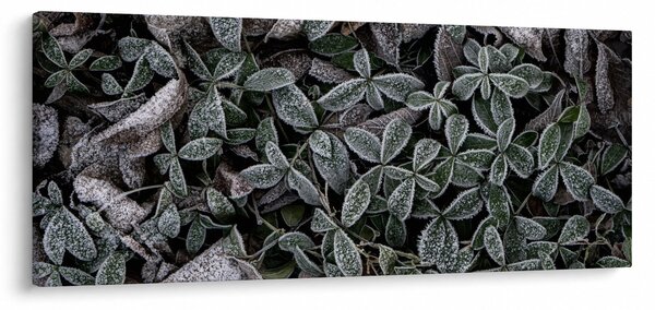 Slika - Smrznute biljke (120x50 cm)