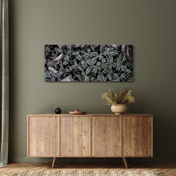 Slika - Smrznute biljke (120x50 cm)