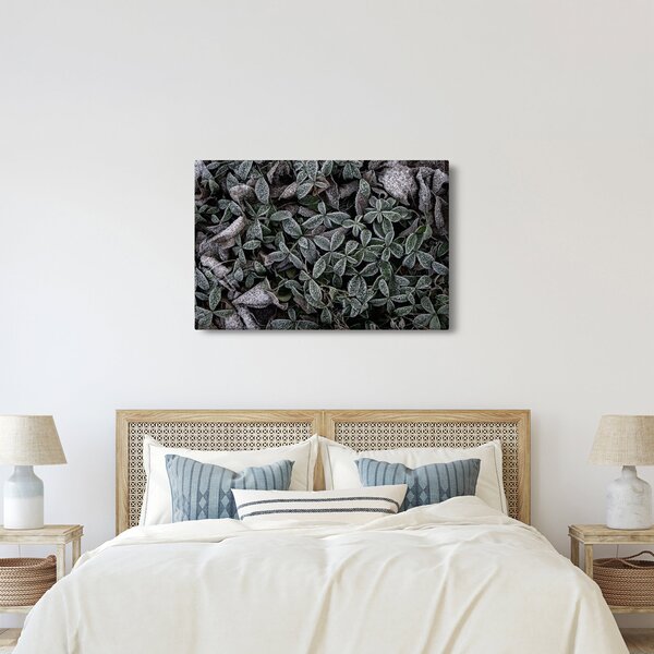 Slika - Smrznute biljke (90x60 cm)