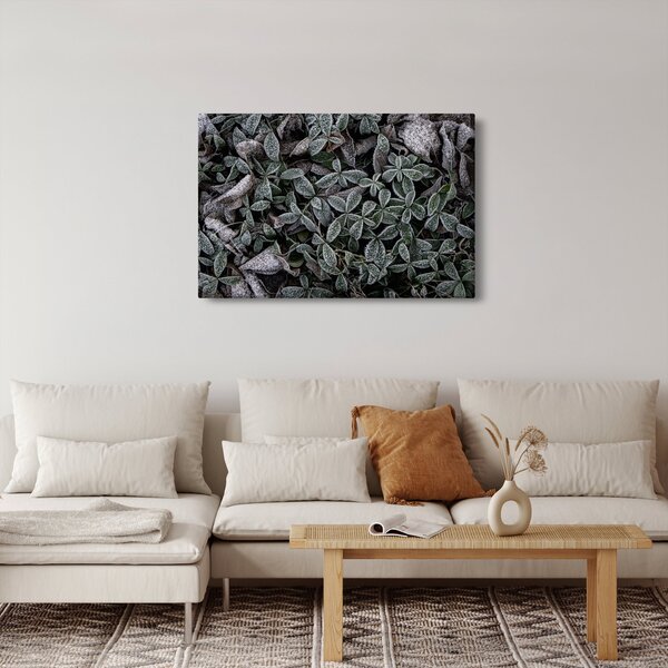 Slika - Smrznute biljke (90x60 cm)