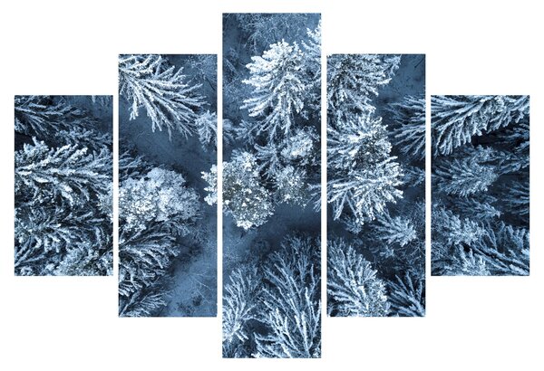 Slika - Snježna šuma (150x105 cm)