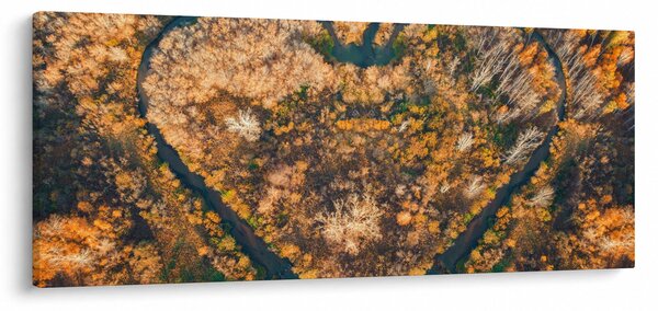 Slika - Rijeka u obliku srca (120x50 cm)