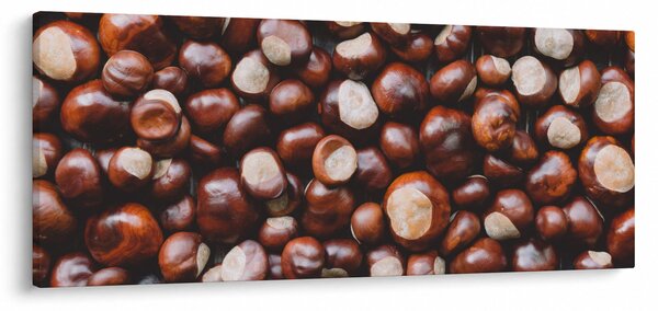 Slika - Zreli kesteni (120x50 cm)