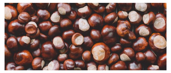 Slika - Zreli kesteni (120x50 cm)