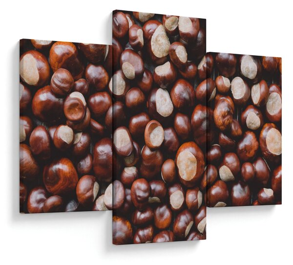 Slika - Zreli kesteni (90x60 cm)