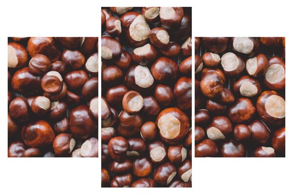Slika - Zreli kesteni (90x60 cm)