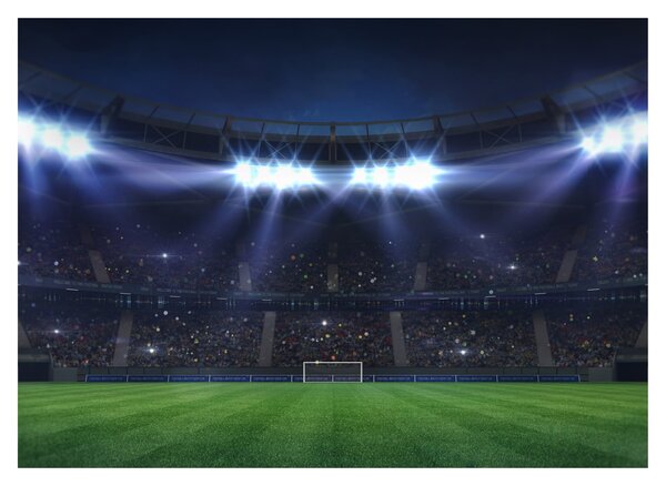 Slika - Nogometni stadion (70x50 cm)