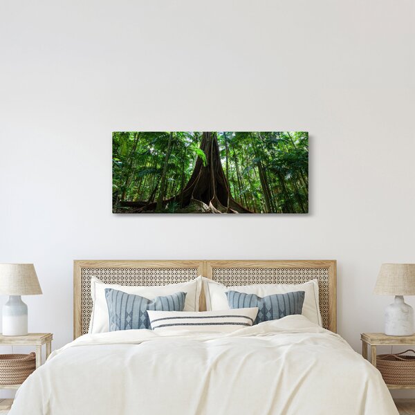 Slika - Korijenje stabla (120x50 cm)