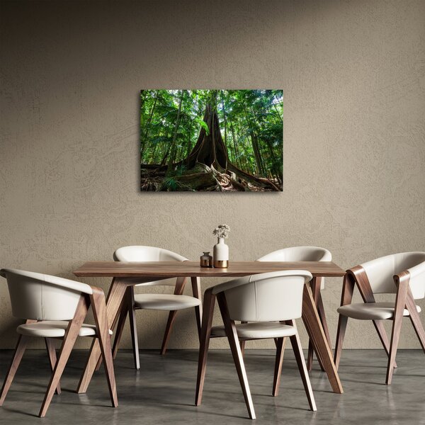 Slika - Korijenje stabla (70x50 cm)