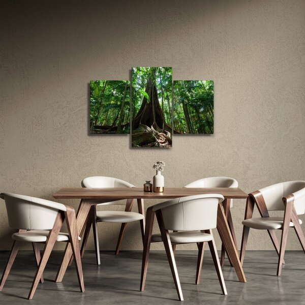 Slika - Korijenje stabla (90x60 cm)