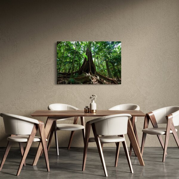 Slika - Korijenje stabla (90x60 cm)