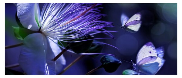Slika - Tropski cvijet (120x50 cm)