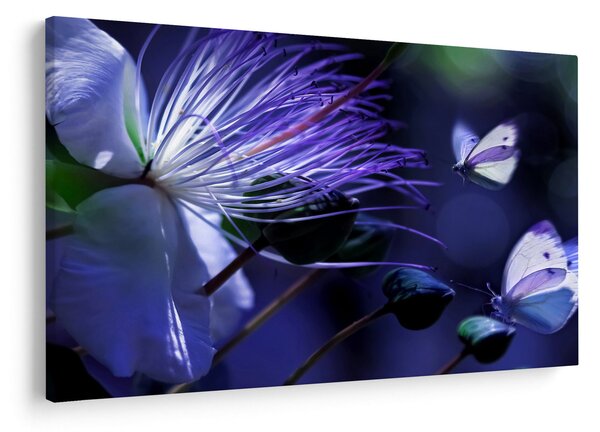 Slika - Tropski cvijet (90x60 cm)