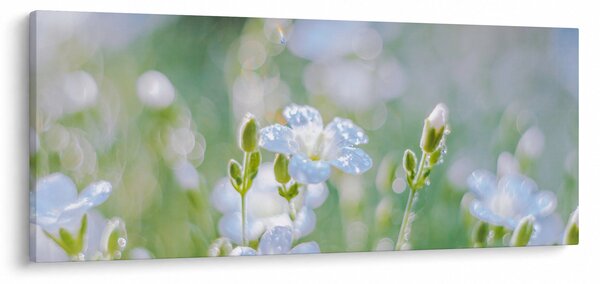Slika - Nježno cvijeće (120x50 cm)