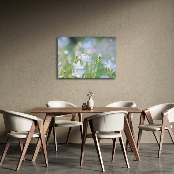 Slika - Nježno cvijeće (70x50 cm)