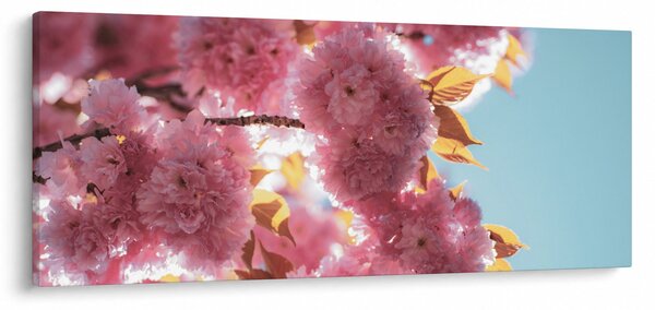 Slika - Trešnjin cvijet (120x50 cm)