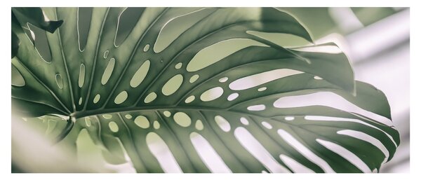 Slika - Popis čudovišta (120x50 cm)