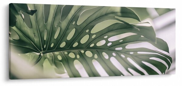 Slika - Popis čudovišta (120x50 cm)