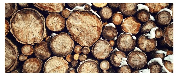 Slika - Drvo u snijegu (120x50 cm)
