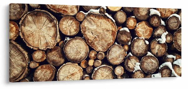 Slika - Drvo u snijegu (120x50 cm)