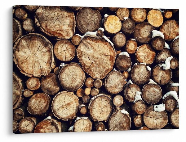 Slika - Drvo u snijegu (70x50 cm)