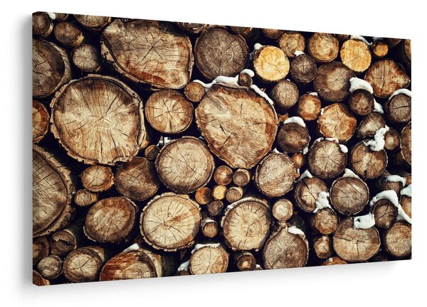 Slika - Drvo u snijegu (90x60 cm)